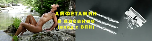 сатива Магас