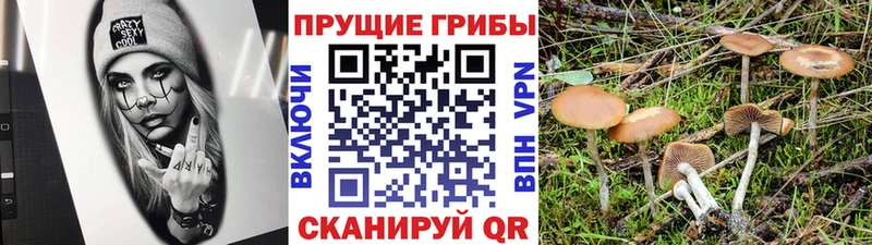 Галлюциногенные грибы мухоморы  Хилок 